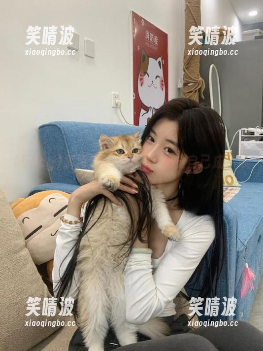 解锁登录51cg，感觉自己成了瓜民，求新鲜！