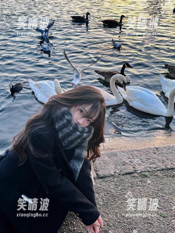 突发奇想，“51吃瓜fun”网页上最神奇的事件汇总