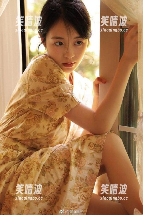 娱乐加密：安卓手机里藏着51爆料网的八卦矩阵！