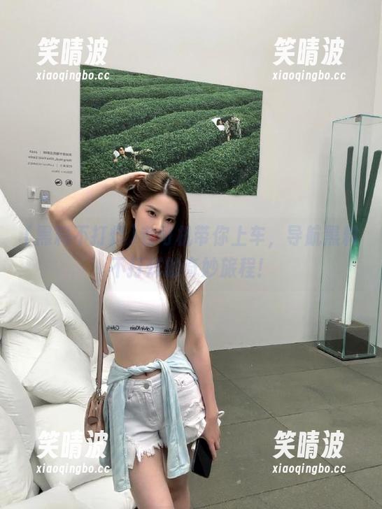 老司机带你上车，导航黑料不打烊的奇妙旅程！